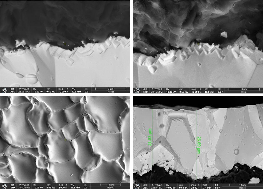 Tantaalkarbid TaC-coating op in mikroskopyske dwersdoorsnede